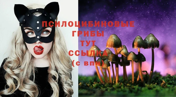 таблы Липки