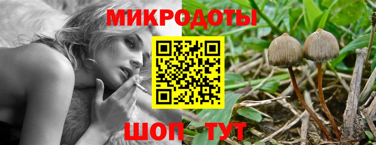 Псилоцибиновые грибы мухоморы Морозовск