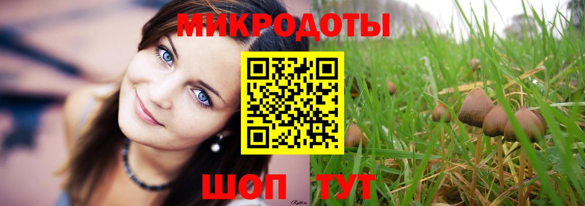 Галлюциногенные грибы GOLDEN TEACHER  что такое   Морозовск 